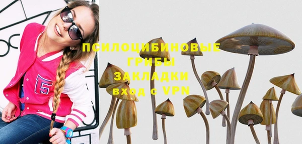 сатива Володарск